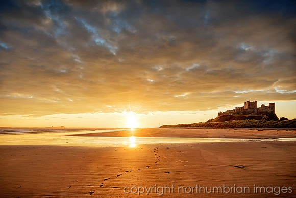 Golden morning