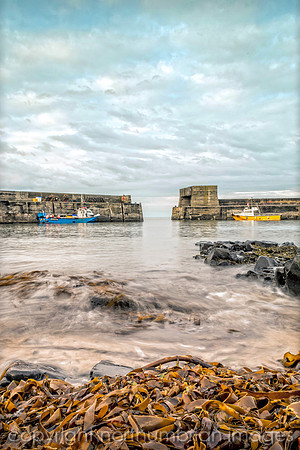 craster harbour northumberland northumbrian images boats