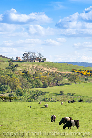 The Hermitage on the hill