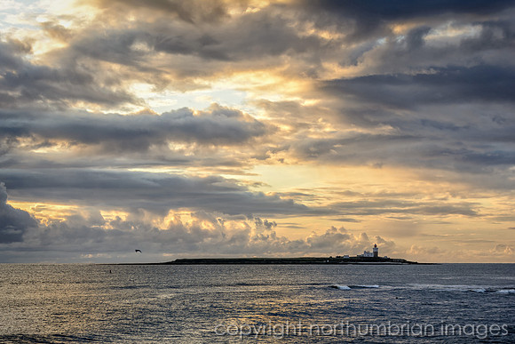 "northumbrian images", amble, sunrise, sea, seascape, lighthouse, northumberland, northumbria,coquet, island