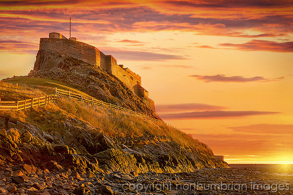 Lindisfarne Gold